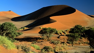 Rencontre nationale avec le peuple d'afrique du sud (renapas)
