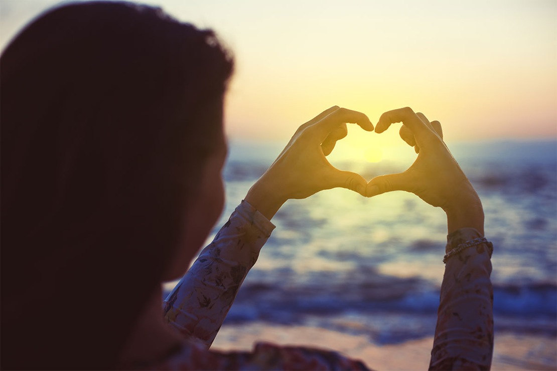 Nos coups de coeur